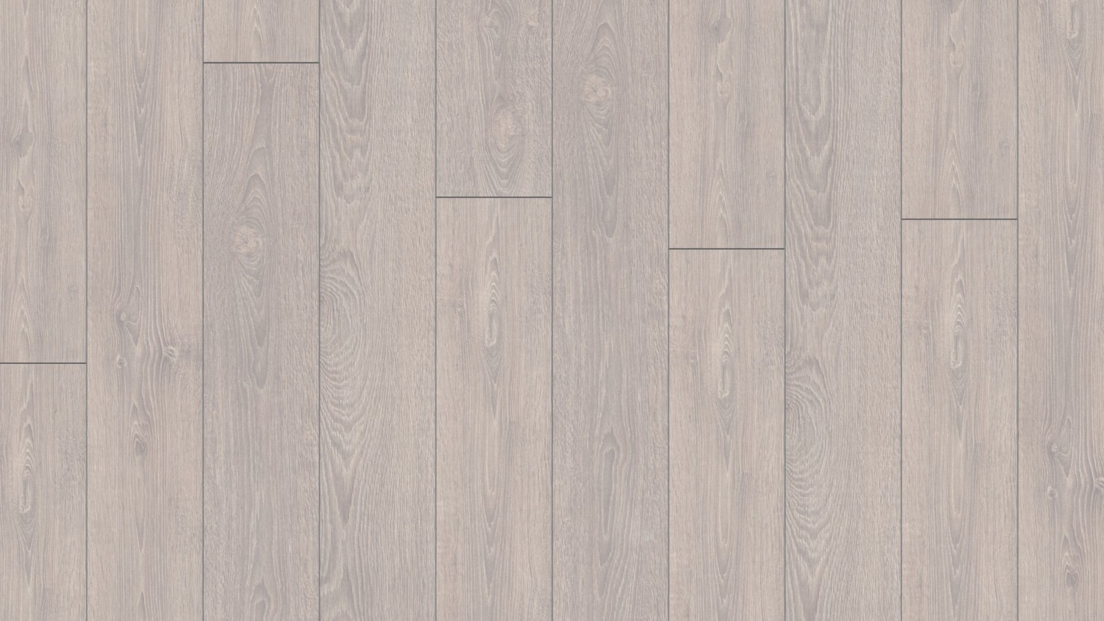 2800 rovere grigio